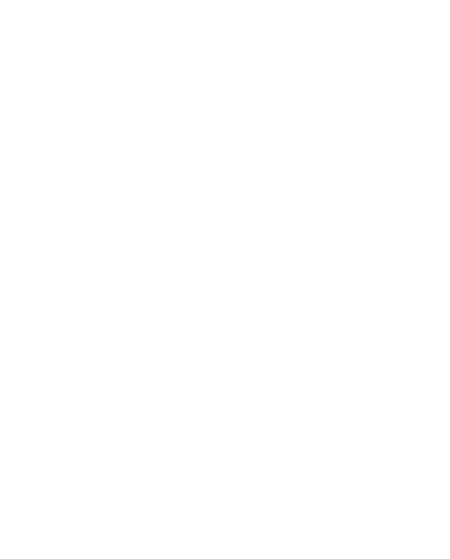 taurus-icon